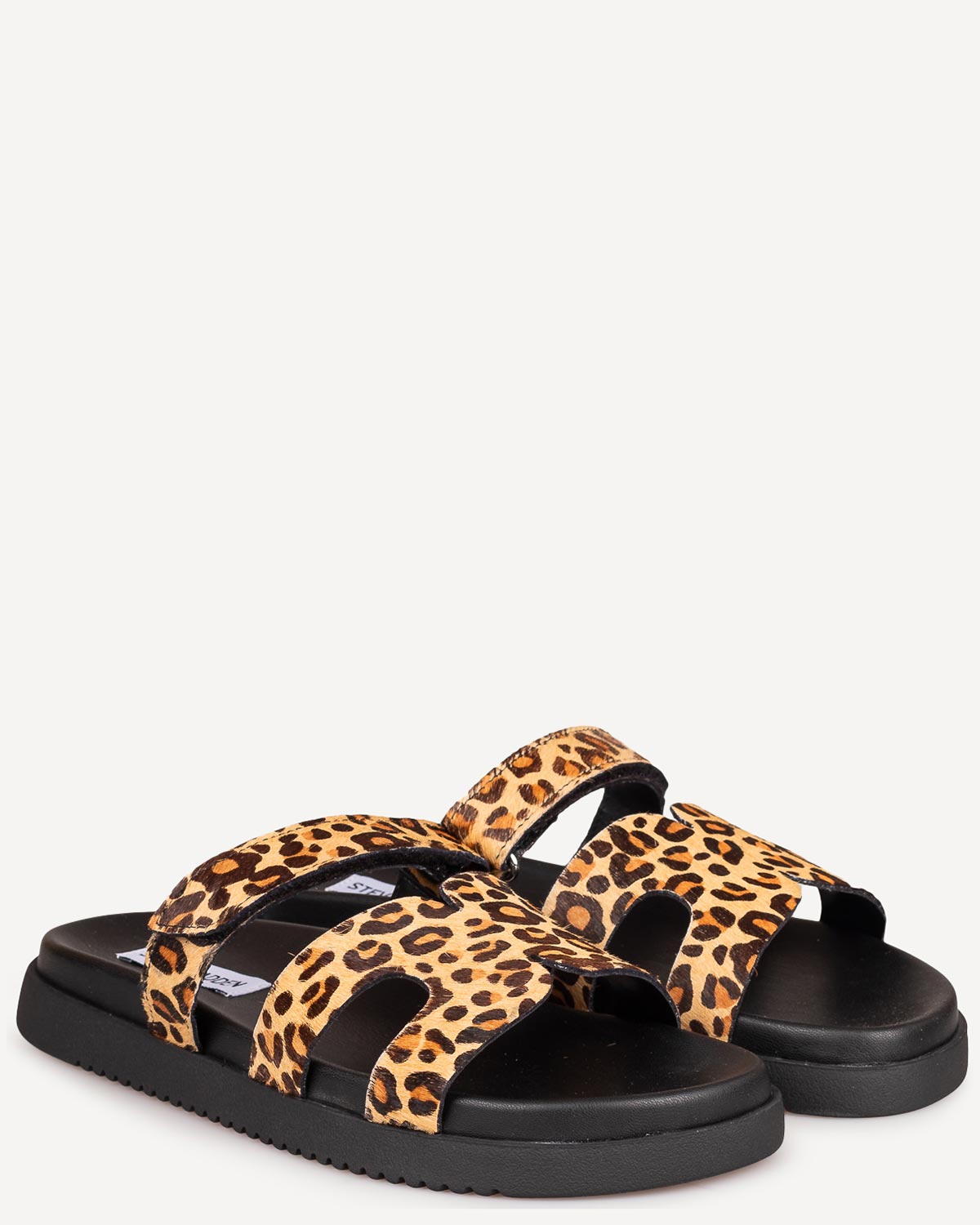 Γυναίκα - Πέδιλα-Σανδάλια - Steve Madden Animal Print