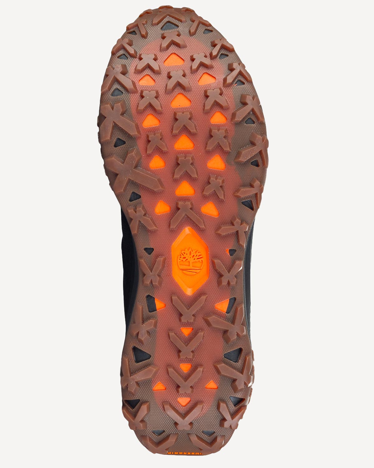 Άνδρας - Sneakers - Timberland Μαύρο