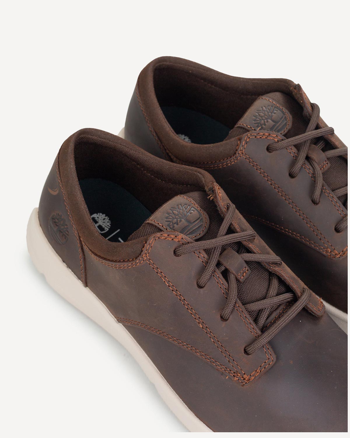Άνδρας - Sneakers - Timberland Καφέ