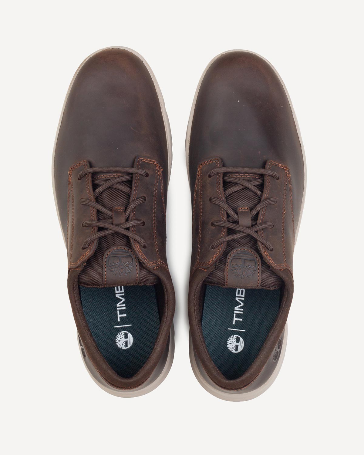 Άνδρας - Sneakers - Timberland Καφέ