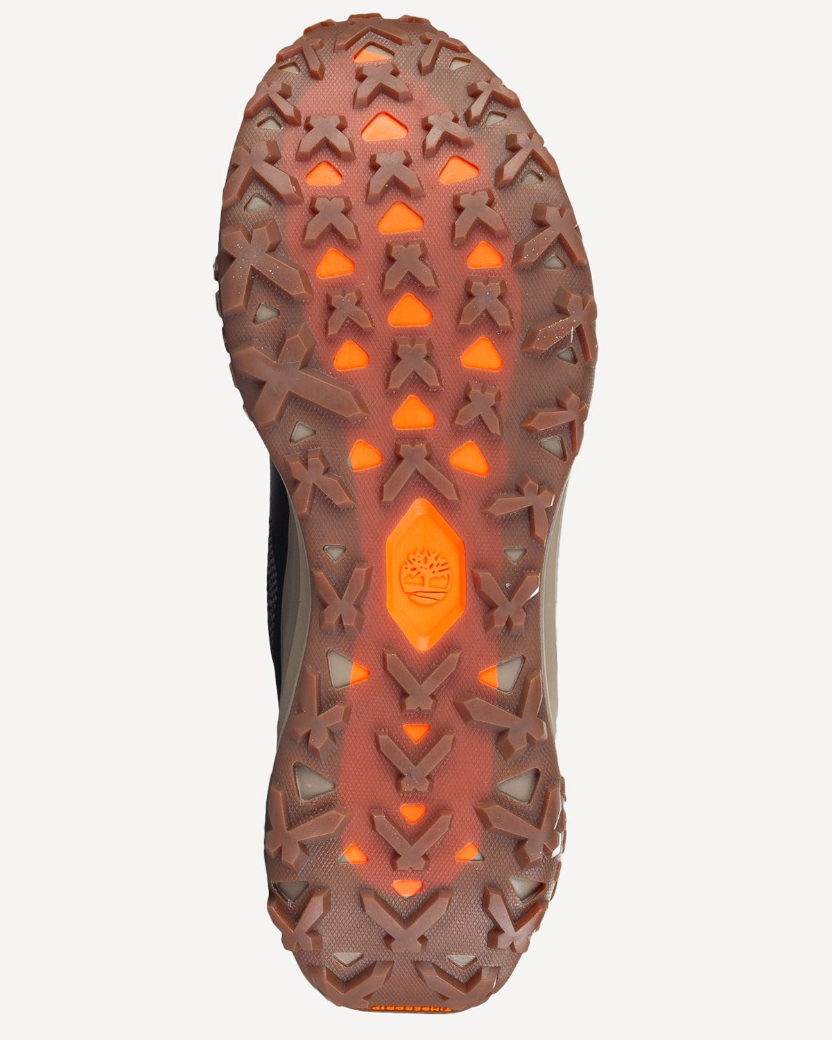 Άνδρας - Sneakers - Timberland Καφέ