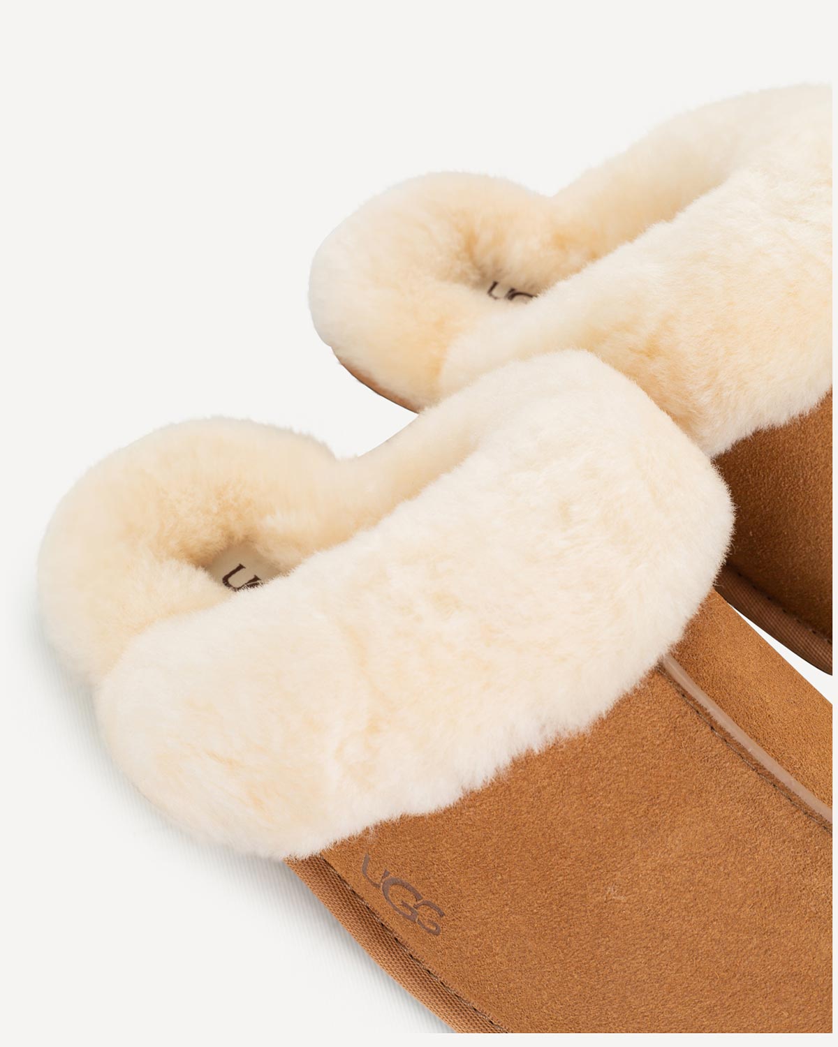 Γυναίκα - Παντόφλες UGG - UGG Ταμπά