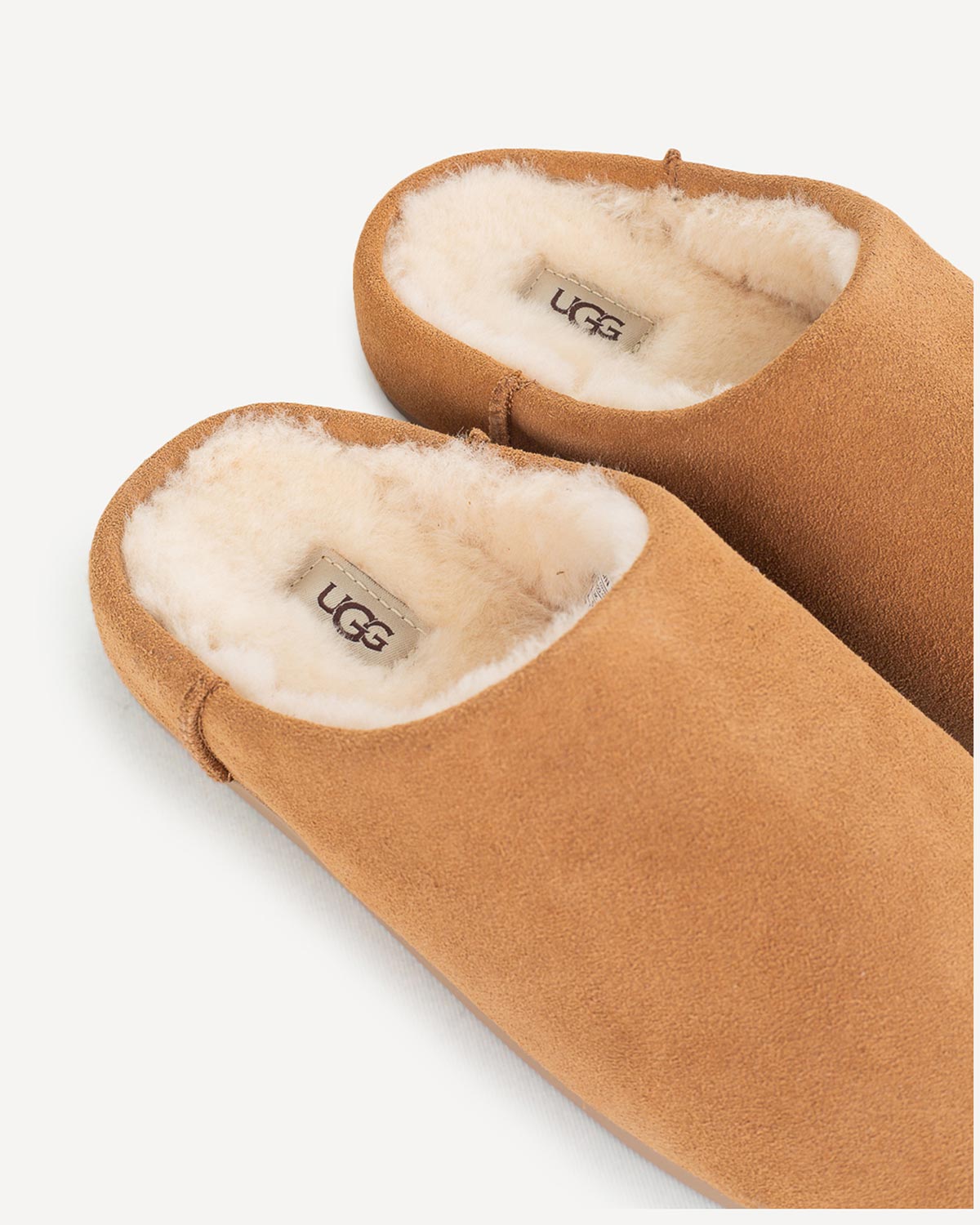 Γυναίκα - Παντόφλες UGG - UGG Ταμπά