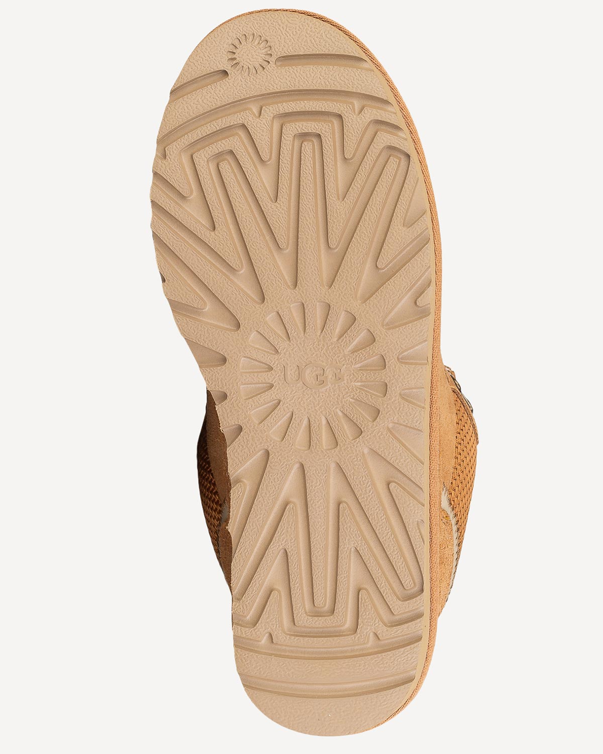 Γυναίκα - Sneakers - UGG Ταμπά