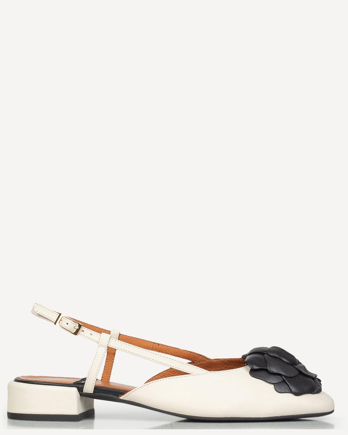 Classico New In Shoes