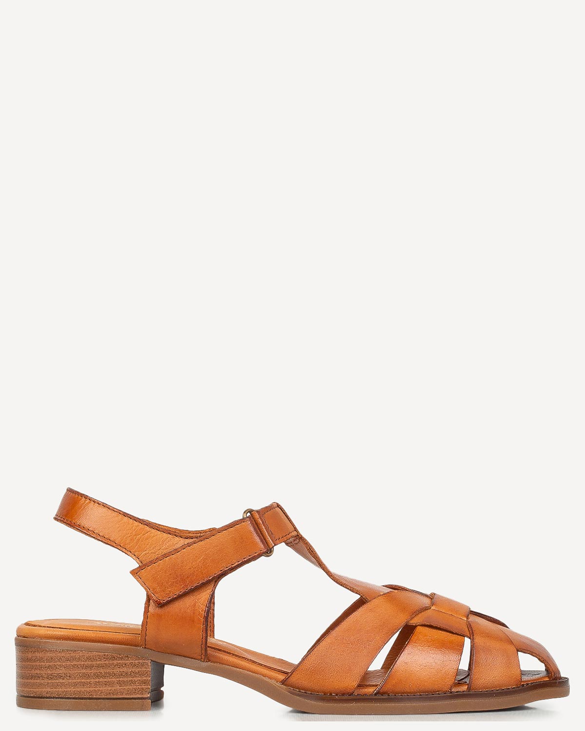 Classico Best Sellers
