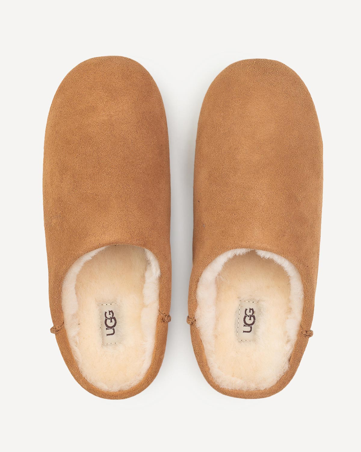 Γυναίκα - Παντόφλες UGG - UGG Ταμπά