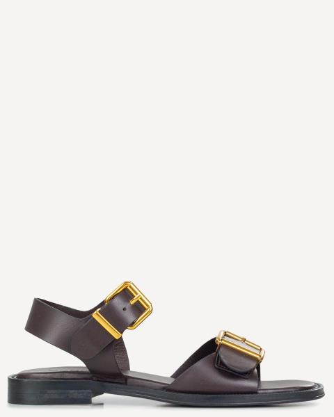 Classico Best Sellers