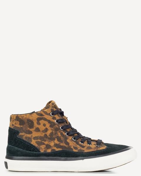 Clarks
