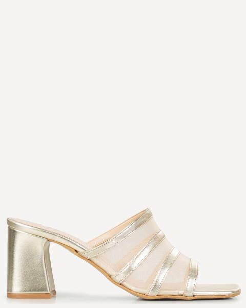 Classico Donna