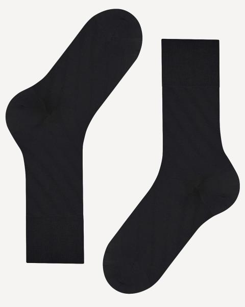 Falke