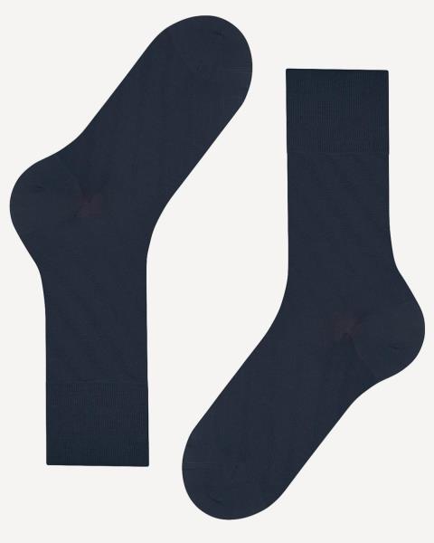 Falke