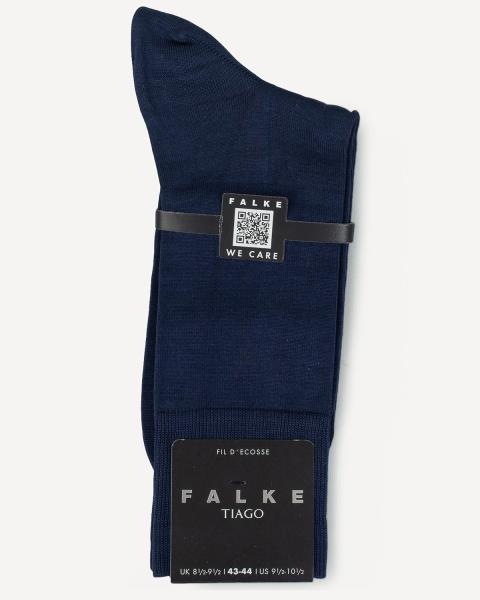 Falke
