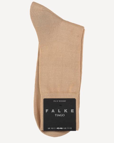 Falke