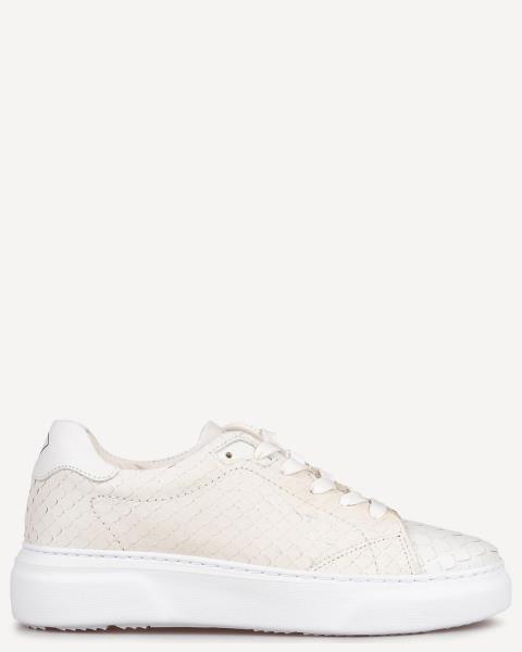 Gant