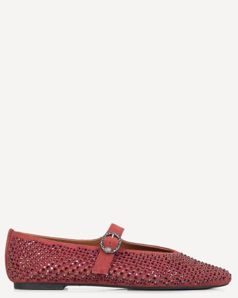 Classico Best Sellers
