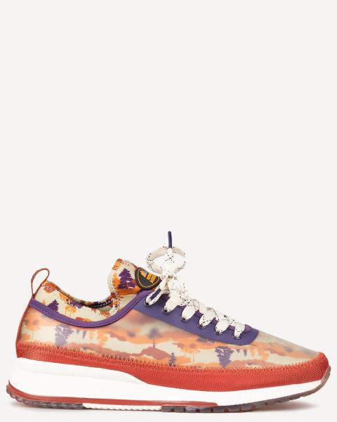 Scotch and Soda