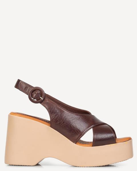 Classico Best Sellers