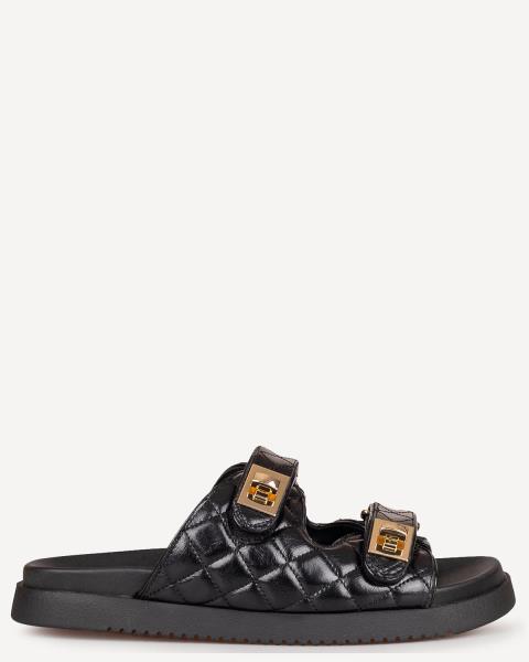 Steve Madden