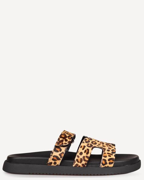 Steve Madden