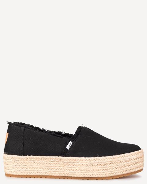 Toms