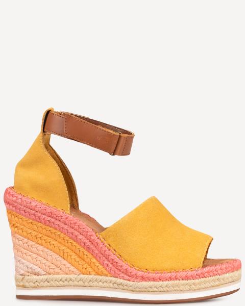 Toms