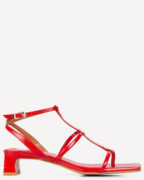 Classico Designers