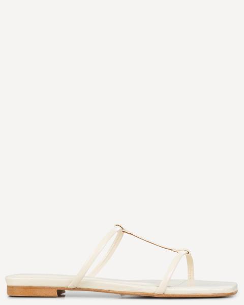 Classico Designers