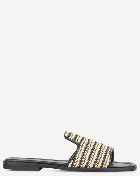 Classico Designers