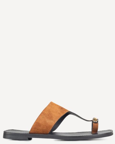 Classico Designers