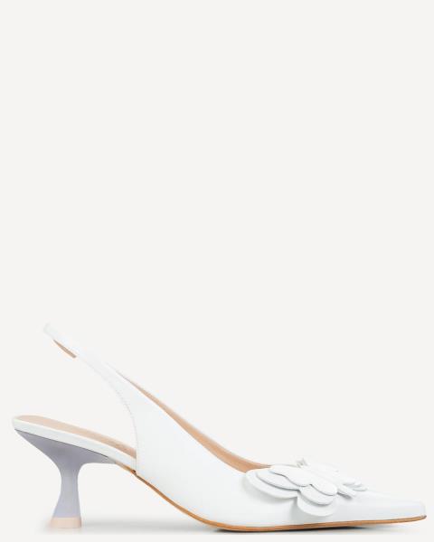 Classico Designers